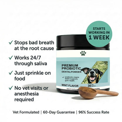 Premium Probiotic Dental Powder