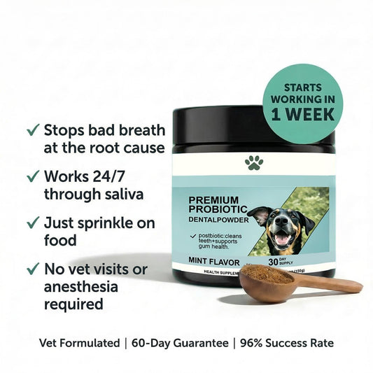 Premium Probiotic Dental Powder