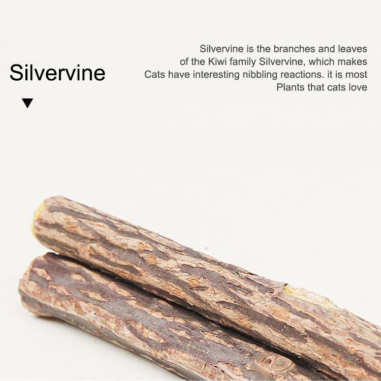 😻 Why Are Cats Losing Their Minds Over This Natural Toy Set?