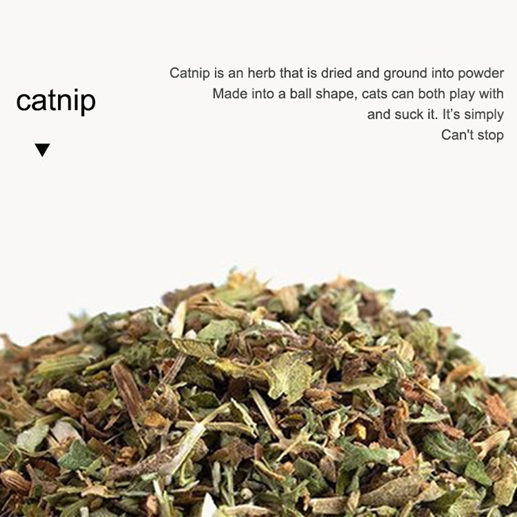 😻 Why Are Cats Losing Their Minds Over This Natural Toy Set?