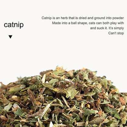 😻 Why Are Cats Losing Their Minds Over This Natural Toy Set?