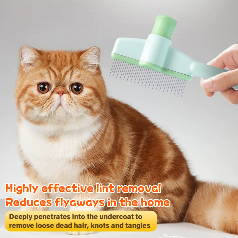 Pet Hair & Mites Everywhere? Try This Rotating Grooming Brush.