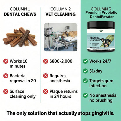 Premium Probiotic Dental Powder