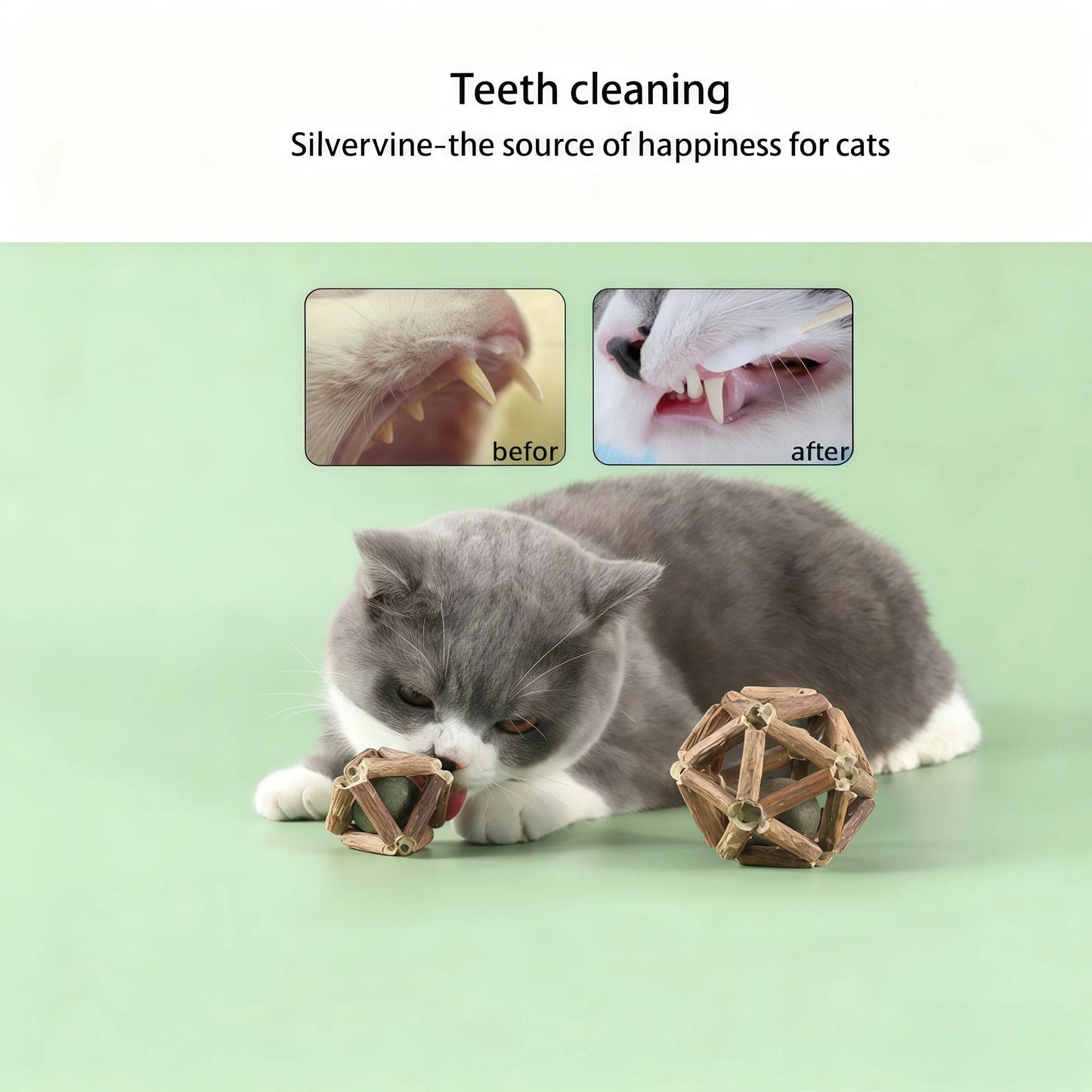 😻 Why Are Cats Losing Their Minds Over This Natural Toy Set?