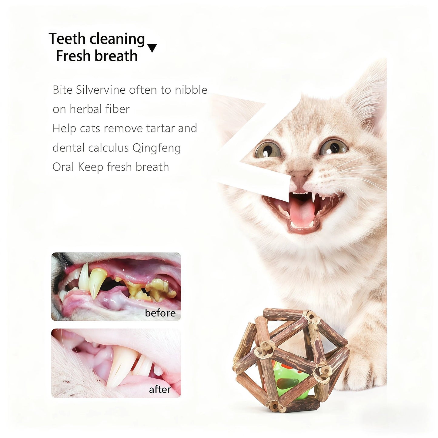 😻 Why Are Cats Losing Their Minds Over This Natural Toy Set?