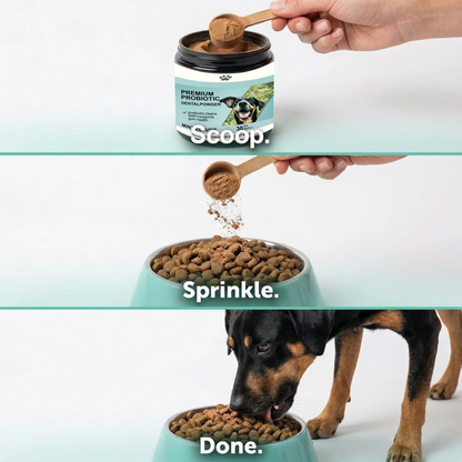 Premium Probiotic Dental Powder