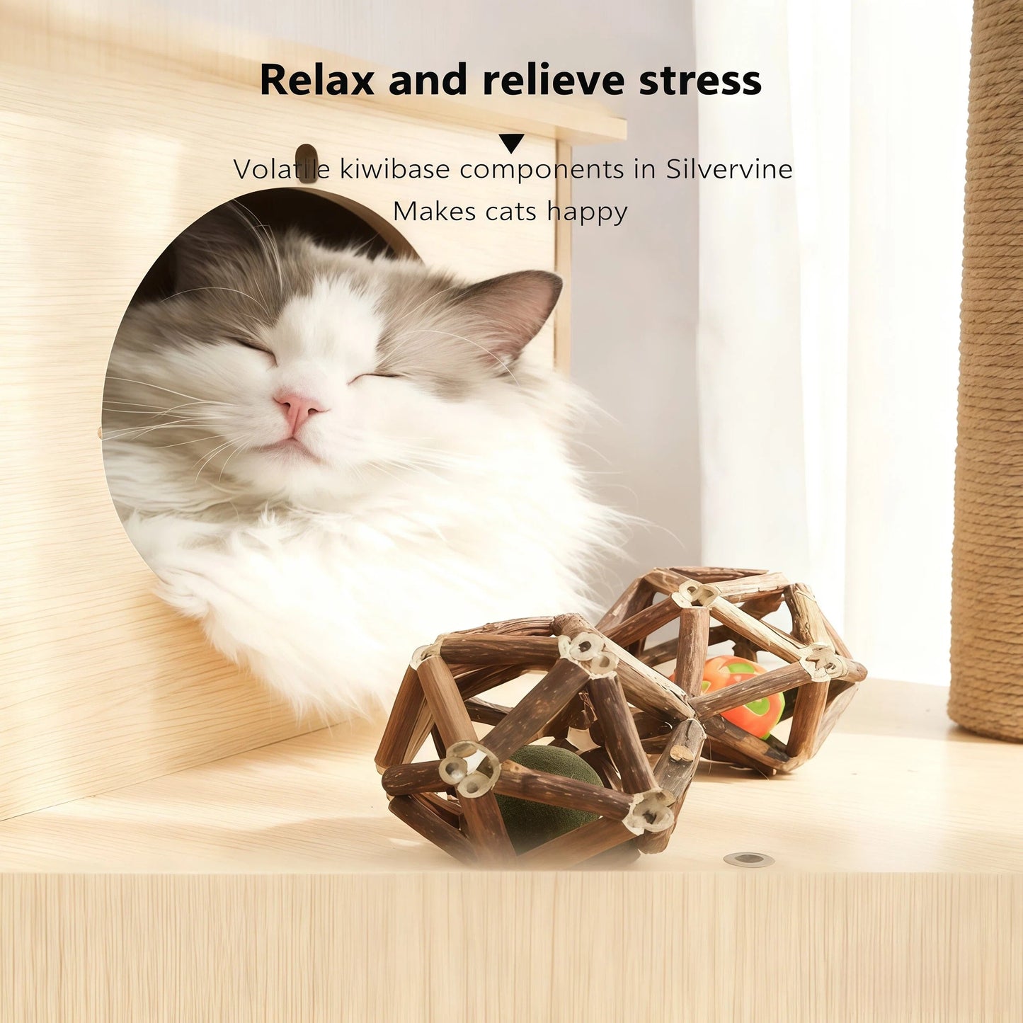 😻 Why Are Cats Losing Their Minds Over This Natural Toy Set?