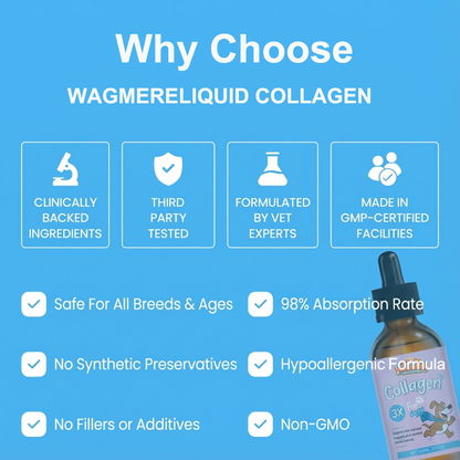 Wagmere® Premium Liquid Collagen