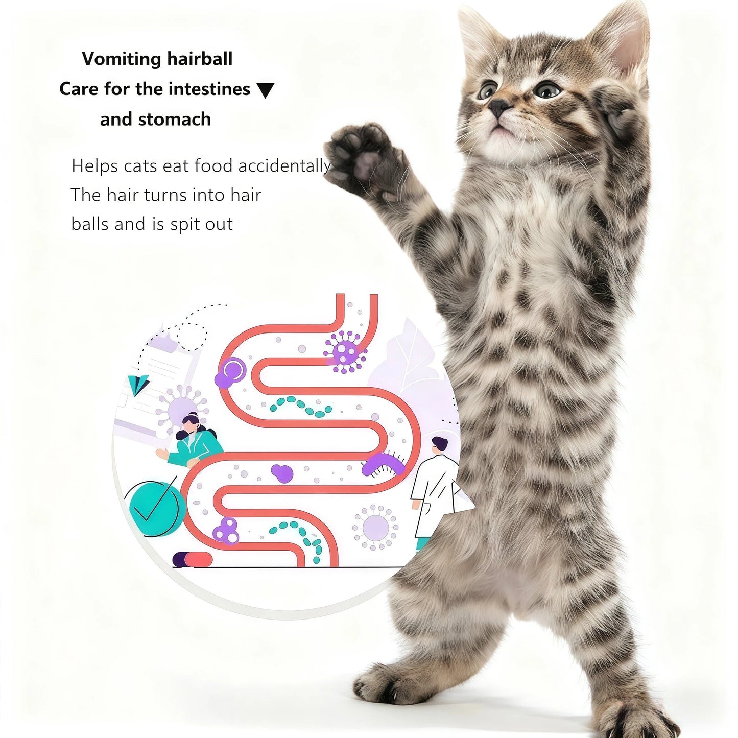 😻 Why Are Cats Losing Their Minds Over This Natural Toy Set?