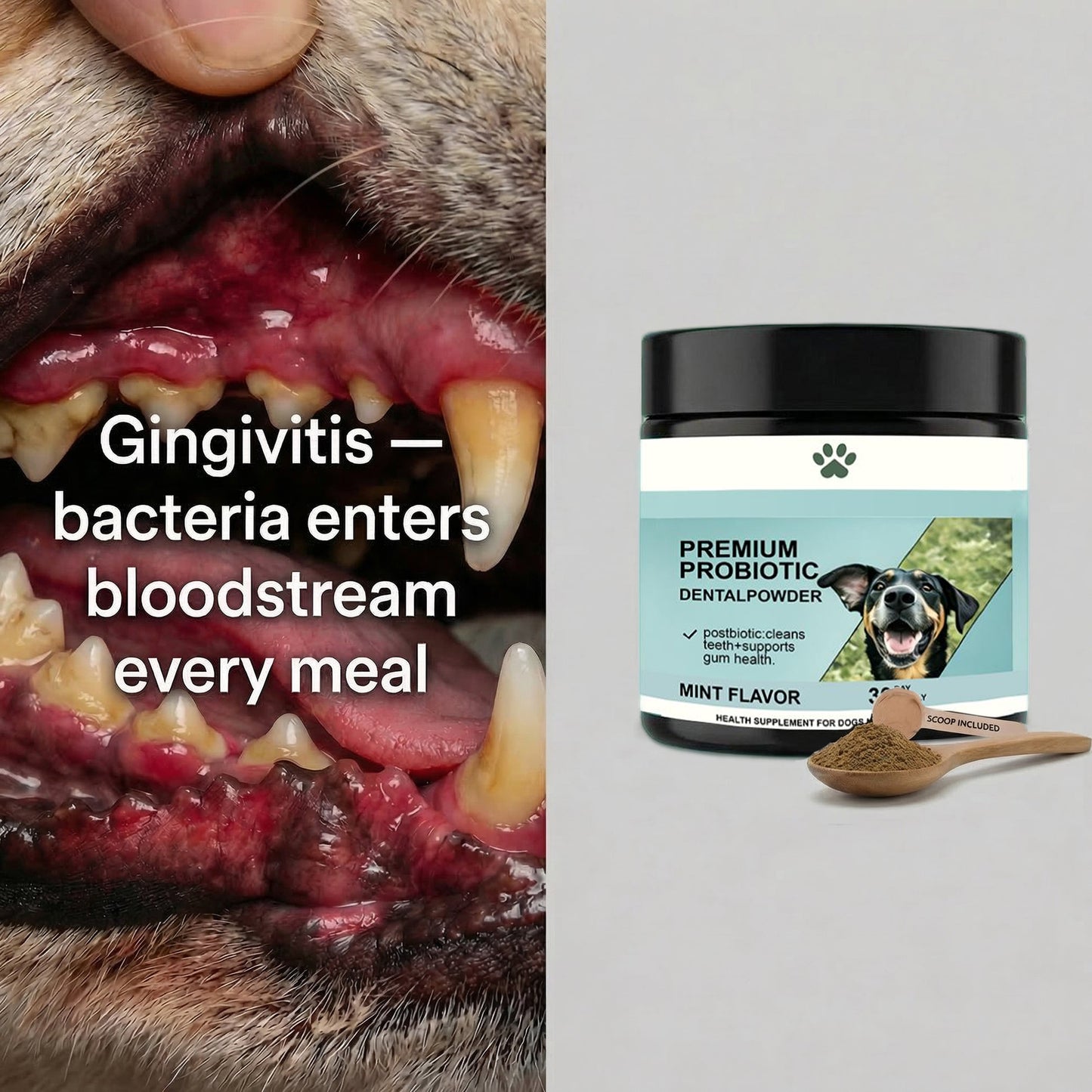 Premium Probiotic Dental Powder