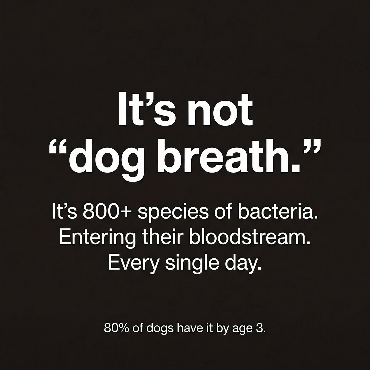 Premium Probiotic Dental Powder