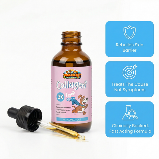 Wagmere® Premium Liquid Collagen