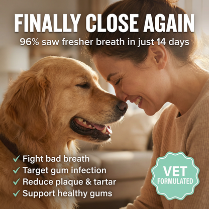 Premium Probiotic Dental Powder