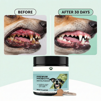 Premium Probiotic Dental Powder