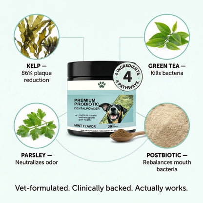 Premium Probiotic Dental Powder