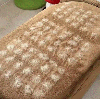 LOVILDS™ 2-in-1 Groom & Clean Mitt