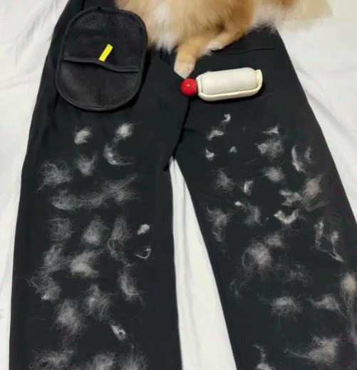 Pawzioo™ Electrostatic Pet Hair Removal Grooming Gloves