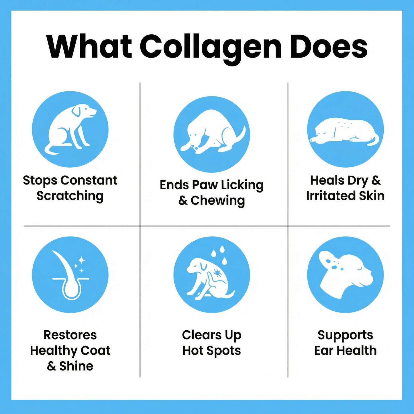 Wagmere® Premium Liquid Collagen